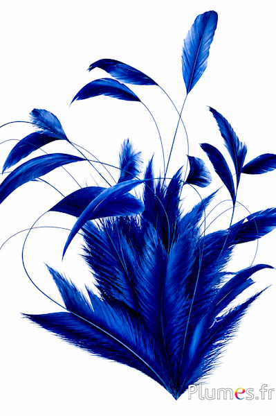 Haan Body Split - 20-25 cm - blauw
